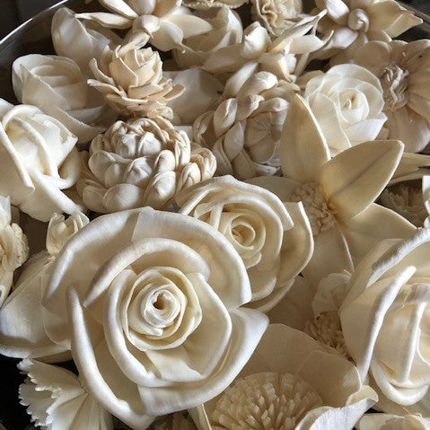 Cream Sola Flower Assortment